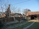 Třibřichy